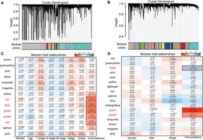 A Molecular Subtype Model for Liver HBV-Related Hepatocellular Carcinoma Patients Based on Immune-Related Genes